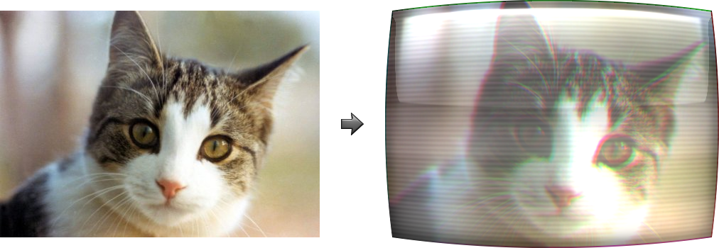 A CRT cat